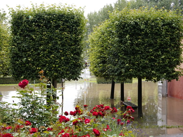 02.06.2024 - Roswitha Demmler - Hochwasser - Lieblingsplatz am Neckar