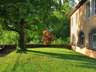 16.05.2024 - Frank-M. Zahn - Rathausburg