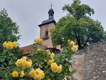 01.06.2024 - Hans-Peter Schwarz - Regiswindiskirche von der Uferstraße aus 