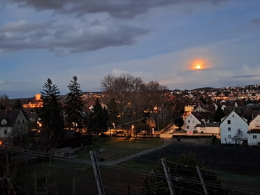 24.02.2024 - Rose Hess - Vollmond am Abend
