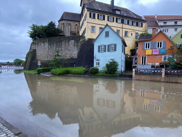 01.06.2024  Sandra Platter - Spiegelung Kunst am Kies im Hochwasser