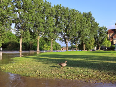 03.06.2024 - Frank-M. Zahn - Kiesplatz bei Hochwasser