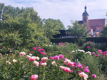 20.05.2025 - Hans-Peter Schwarz - LamparterPark und Regiswindiskirche