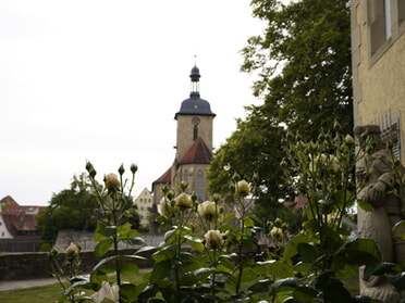 25.05.2025 - Roswitha Demmler - Blick durch die Rosen zur Regiswindiskirche