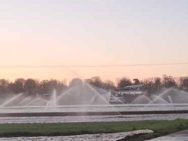 06.04.2025 - Rose Hess - Eisige Wasserspiele vor dem Freibad