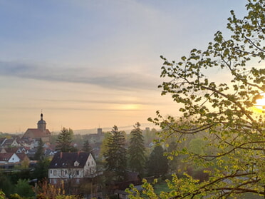 16.04.2025 - Rose Hess - Frühlingstag