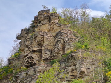 21.04.2025 - Rose Hess - Neckarufer am Krappenfelsen