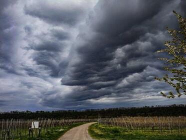 21.04.2025 - Werner Ohsam - Gewitter über den Lauffener Weinbergen