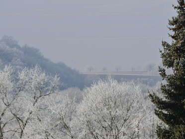 23.01.2025 - Werner Ohsam - Frost im Kaywald