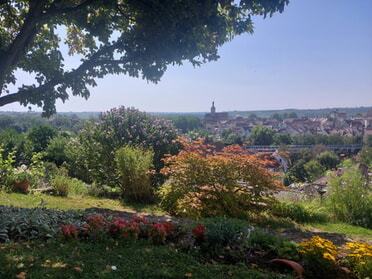 13.08.2025 - Hans-Peter Schwarz - Blick vom Geigersberg auf die Regiswindiskirche