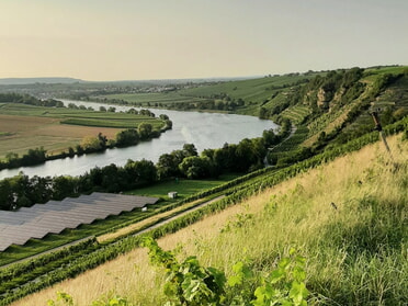16.08.2025 - Susanne Georgiou - Blicvk vom Herrlesberg auf den Neckar nach Lauffen a.N.