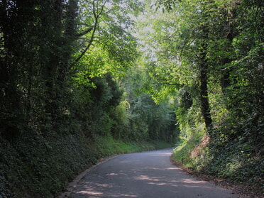 14.08.2025 - Urban Böhner-Stamm - Hohlweg Geigersberg