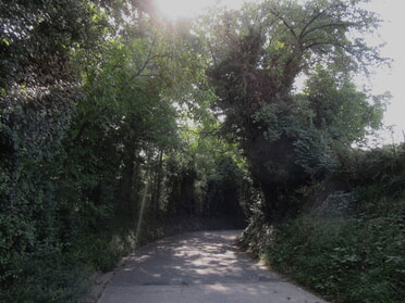 14.08.2025 - Urban Böhner-Stamm - Hohlweg Geigersberg