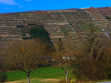 22.03.2025 - Urban Böhner-Stamm - Keller im Berg