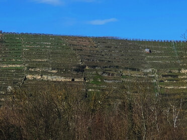 22.03.2025 - Urban Böhner-Stamm - Keller im Berg