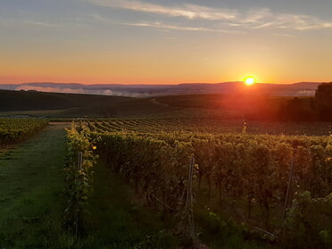 25.08.2025 - Susanne Georgiou - Sonnenaufgang mit erstem Frühnebel - in der Ferne Heilbronn 