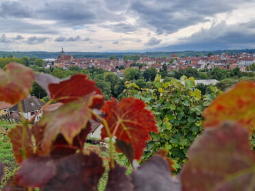 27.09.2025 - Birgit Sautter - Wolkenspiel mit Regiswindis
