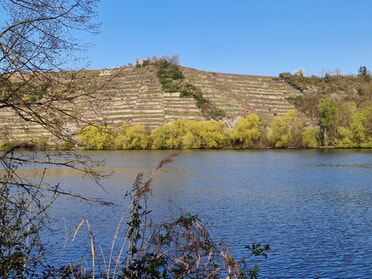 08.04.2025 - Birgit Sautter - Der Neckar behütet sein Land