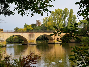 03.10.2025 - Martin Braunbeck - Alte Neckarbrücke in Lauffen a.N.