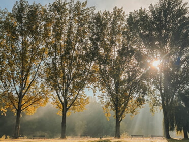 02.10.2025 - Clara Lilley - Morgenstimmung im LamparterPark