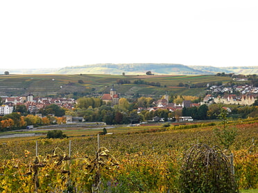 18.10.2025 - Rosiwtha Demmler - Blick auf Lauffen a.N.