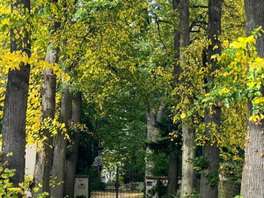 17.10.2025 - Gerhard Graner - Lamparter Allee