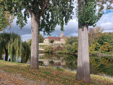 21.10.2025 - Hans-Peter Schwarz - Rathausburg im Herbstkleid