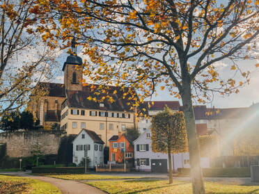 27.10.2025 - Clara Lilley - Regiswindiskirche im Herbstlaub