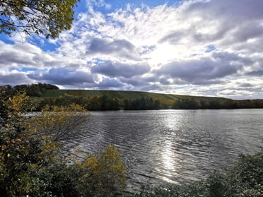 26.10.2025 - Sibylle Dietel - Herbstidylle am Neckar