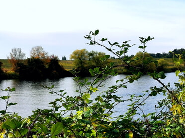 16.10.2025 - Sibylle Dietel - Herbststimmung am neckar