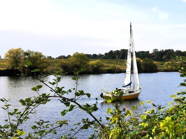 16.10.2025 - Sibylle Dietel - Herbststimmung am Neckar
