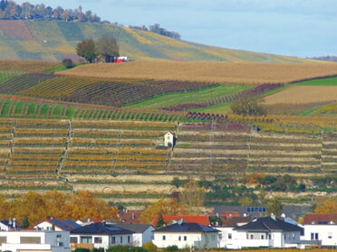 28.10.2025 - Bernhard Müller - Lauerhütte