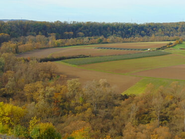 28.10.2025 - Bernhard Müller - Kaywald im Herbst