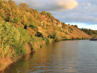 24.10.2025 - Frank-M. Zahn - Krappenfelsen im Abendlicht