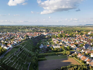 01.10.2025 - Ulrich Seidel - Lauffen aus der Luf (Drohnenaufnahme)