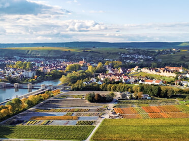 15.10.2025 - Ulrich Seidel - Lauffen aus der Luft mit Blick auf den römischen Gutshof (Drohnenaufnahme)