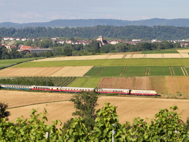 28.06.2025 - Marco Eberbach - Ein Zug auf den Schienen um Lauffen am Neckar
