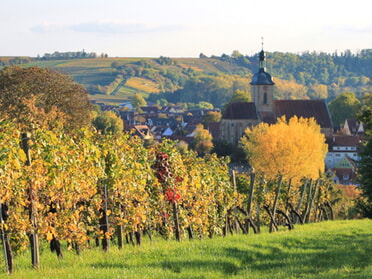 14.10.2025 - Marco Eberbach - Bunter Herbst in Lauffen am Neckar