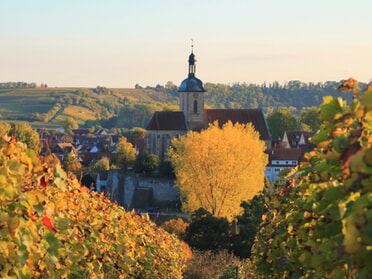 14.10.2025 - Buntes Herbstlaub in Lauffen am Neckar