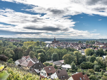 12.10.2025 - Hansjörg Sept - Blick über Lauffen 