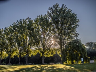 19.07.2025 - Hansjörg Sept - Sonnenaufgang am Neckar 