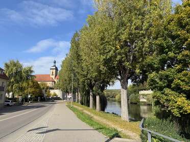 11.10.2025 - Gabriele Heuschele - Pappeln an der Uferstraße 