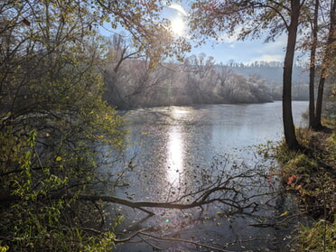 23.11.2025 - Beate Reinwald - Eisiges Seeloch