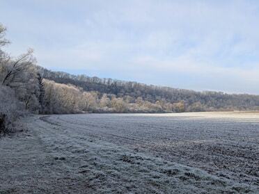 23.11.2025 - Beate Reinwald - Frost am Kaywald