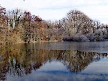 23.11.2025 - Birgit Nollenberger - Erster Frost am Fischersee