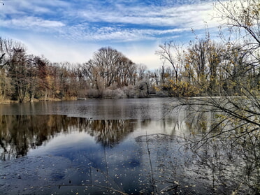 23.11.2025 - Birgit Nollenberger - Frostiger Morgen am Fischersee