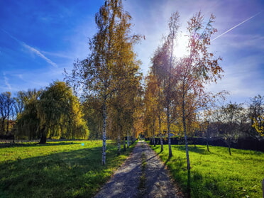 04.11.2025 - Werner Ohsam - Fischerheim