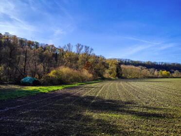 04.11.2025 - Werner Ohsam - Herbstlicher Kaywald