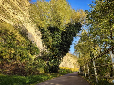 30.10.2025 - Werner Ohsam - Herbstanfang am Neckar