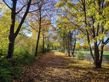 04.11.2025 - Werner Ohsam - Herbst am Schulsportplatz